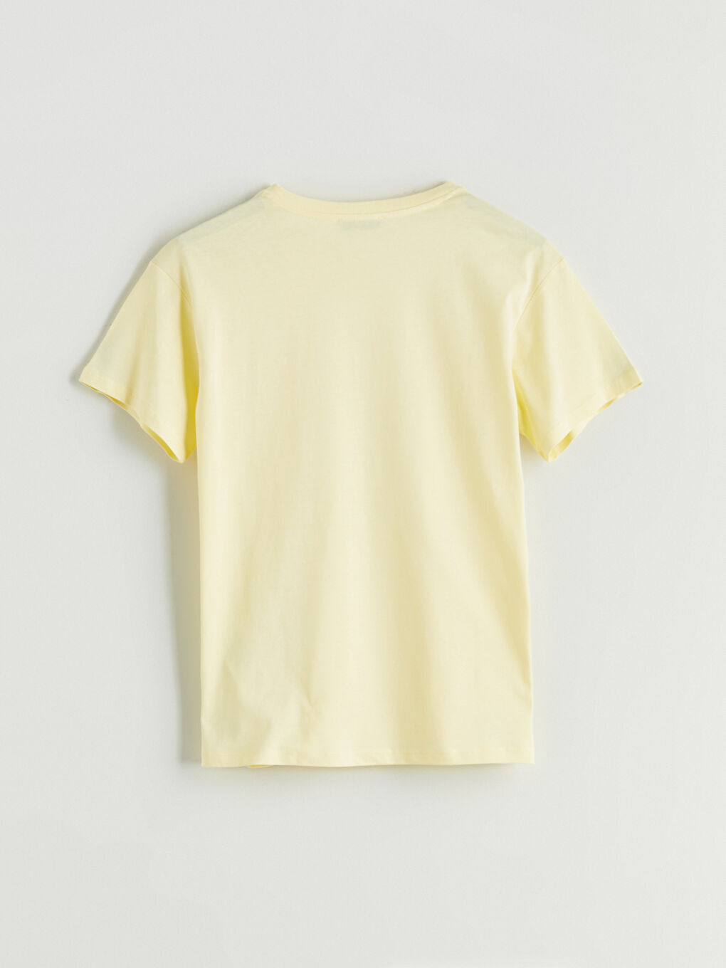 LCW Vision Crew Neck Embroidered Women's T-Shirt -S5PP45Z8-FSW