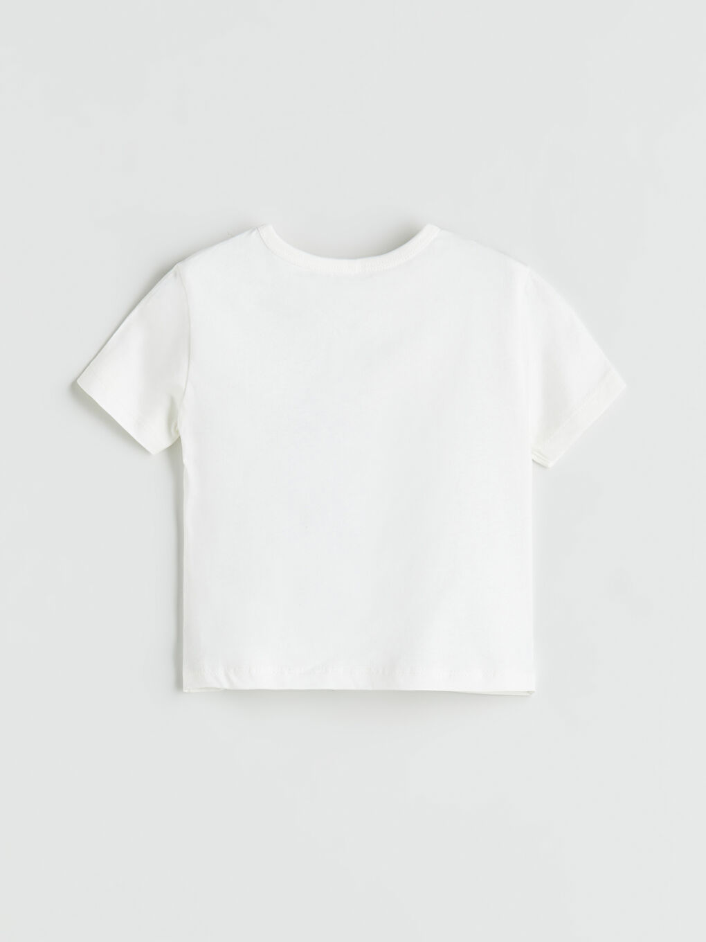 Crew Neck Printed Baby Boy T-Shirt And Shorts Set (2 Pieces) -S5PR95Z1-FDU