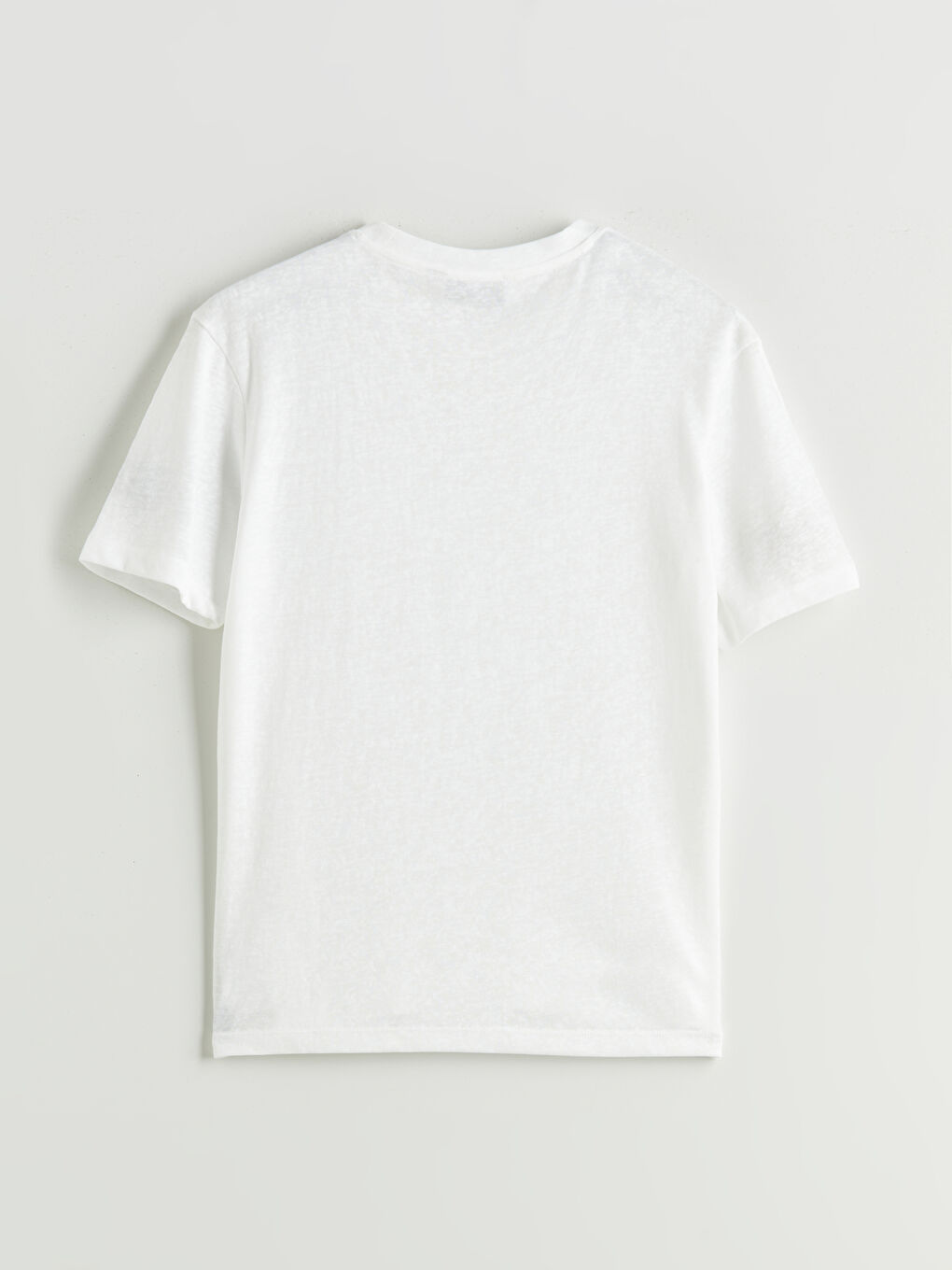 LCW Vision Crew Neck Jersey Men's T-Shirt -S5PS21Z8-R9J