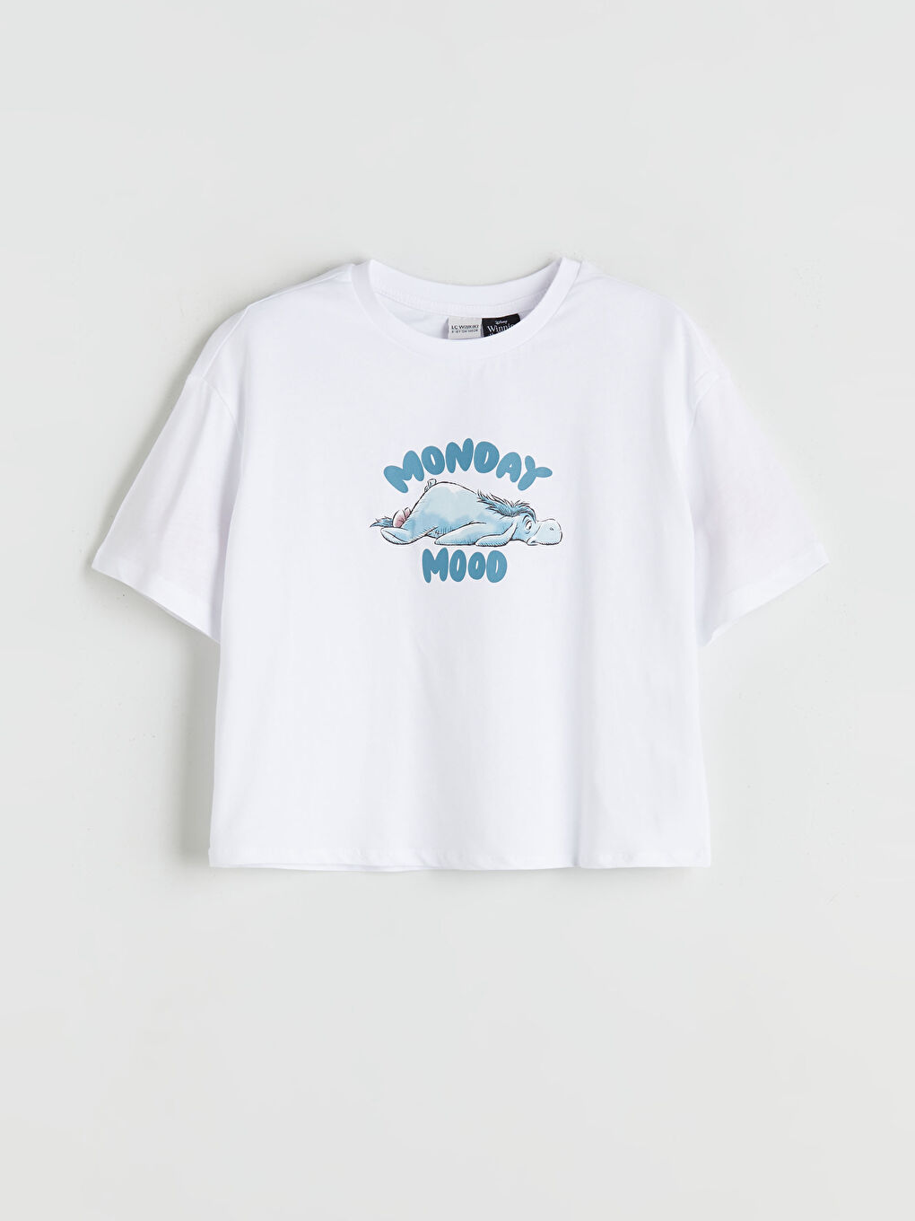 Beyaz Bisiklet Yaka Winnie the Pooh Baskılı Kız Çocuk Tişört