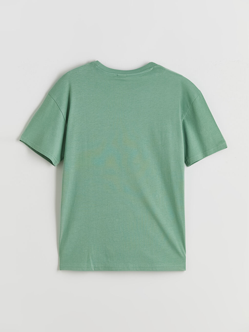 LCW Kids Crew Neck Basic Boys' T-Shirt -S5PY45Z4-GFG