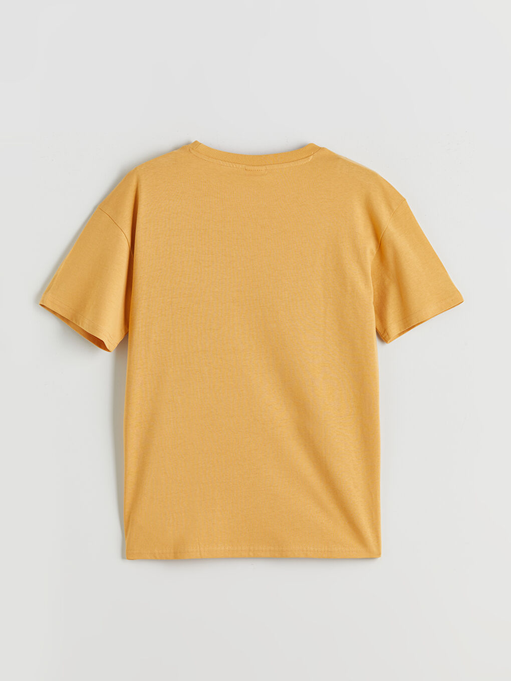 LCW Kids Crew Neck Basic Boys' T-Shirt -S5PY45Z4-GLH