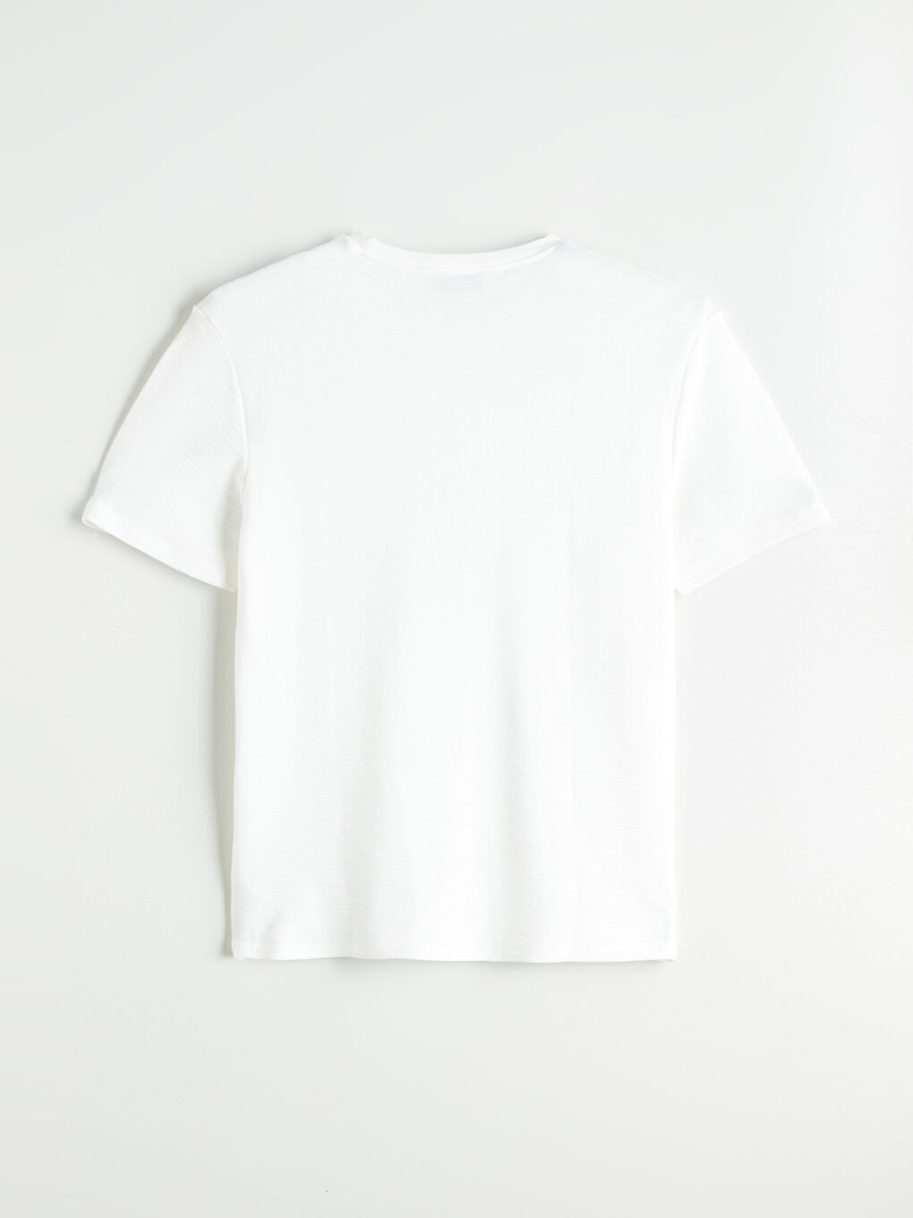 LCW Vision Crew Neck Jersey Men's T-Shirt -S5Q393Z8-R9J