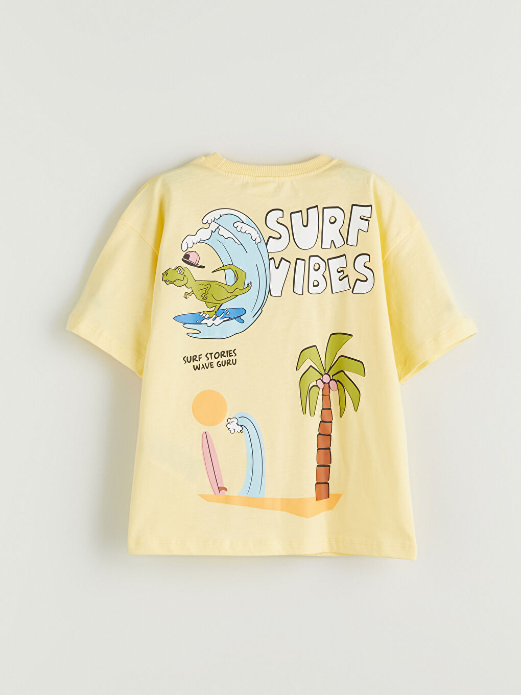 Crew Neck Printed Boy's T-Shirt -S5Q527Z1-FRE