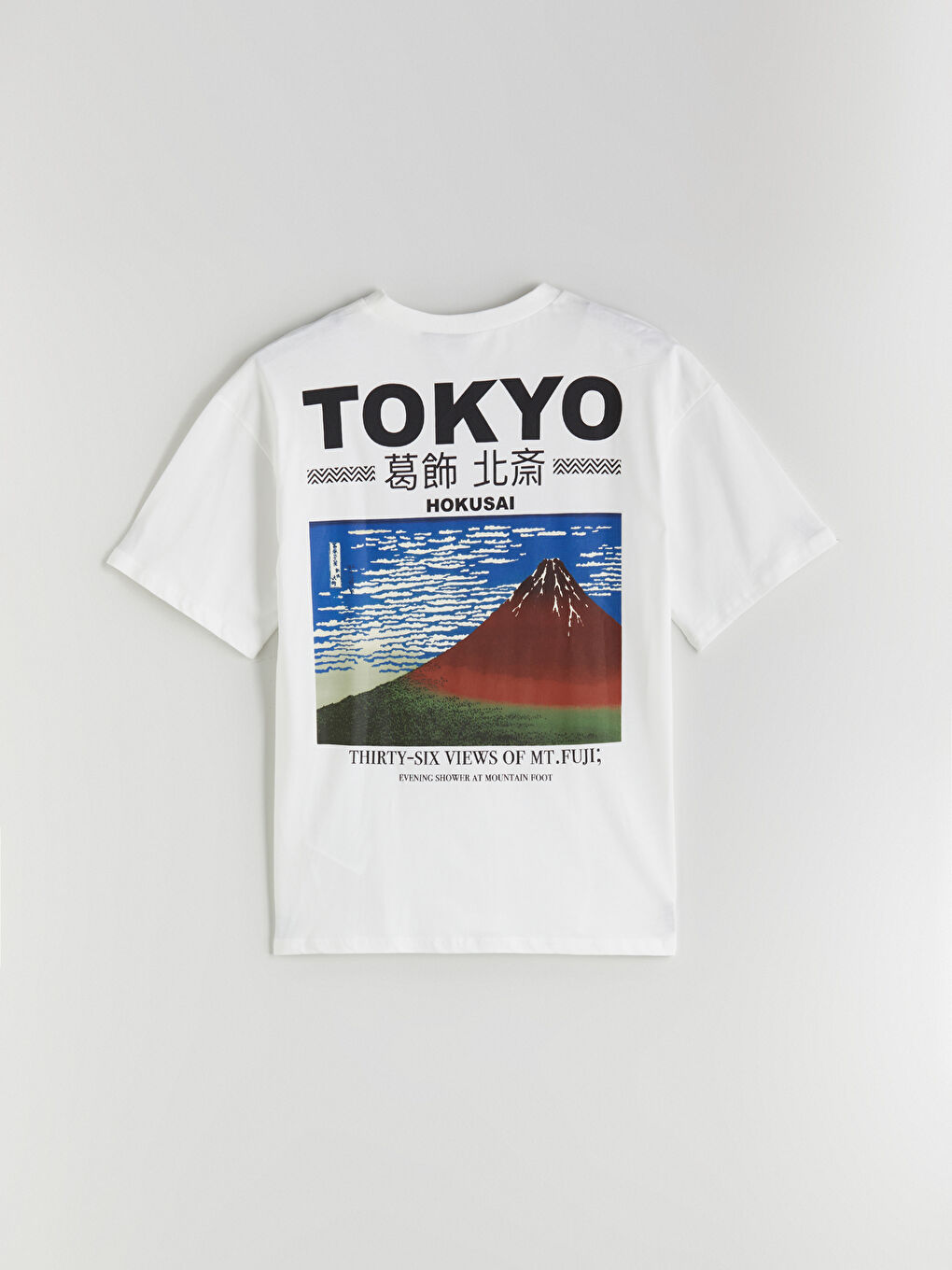 LCW Teen Teenage Boy ECRU T-Shirt -S5QO34Z4-FDU