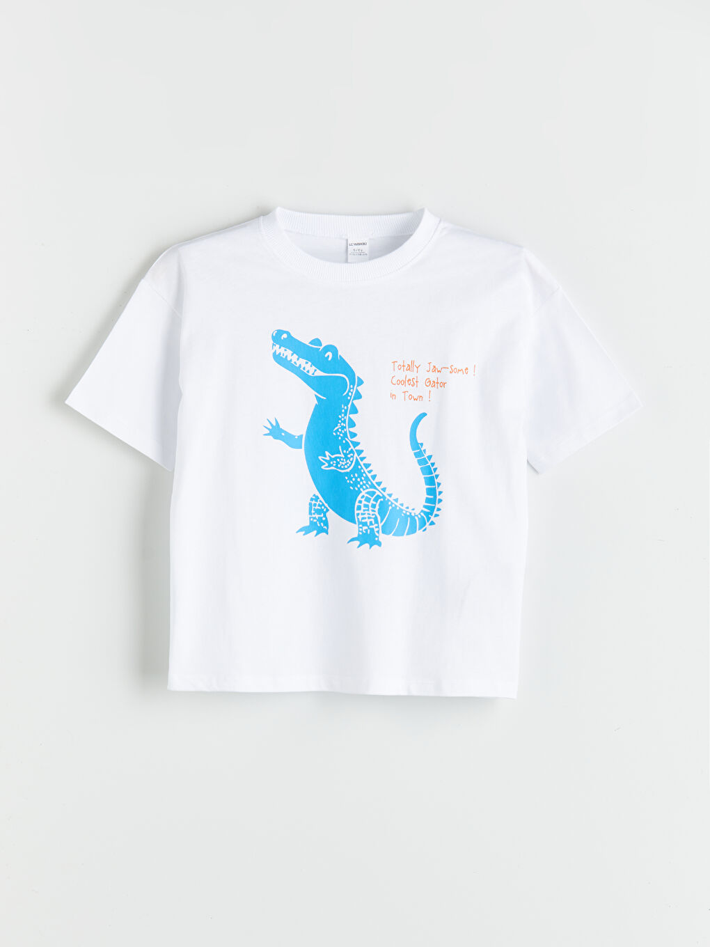 Dinosaur Printed Boys' T-Shirt -S5QP82Z1-Q6K