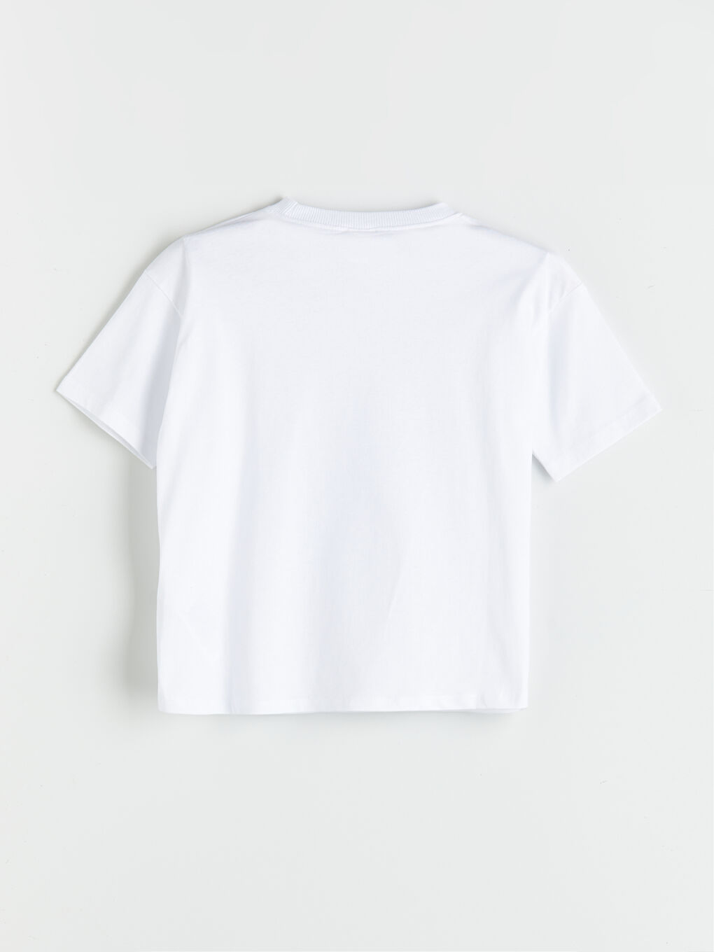 Dinosaur Printed Boys' T-Shirt -S5QP82Z1-Q6K
