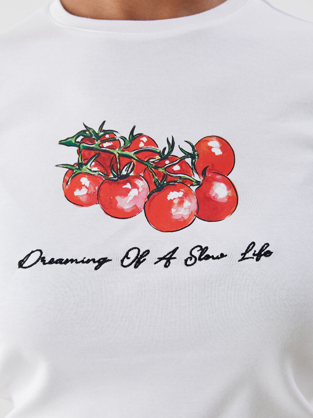 LCW Vision Crew Neck Printed Women's T-Shirt -S5QQ29Z8-R9J