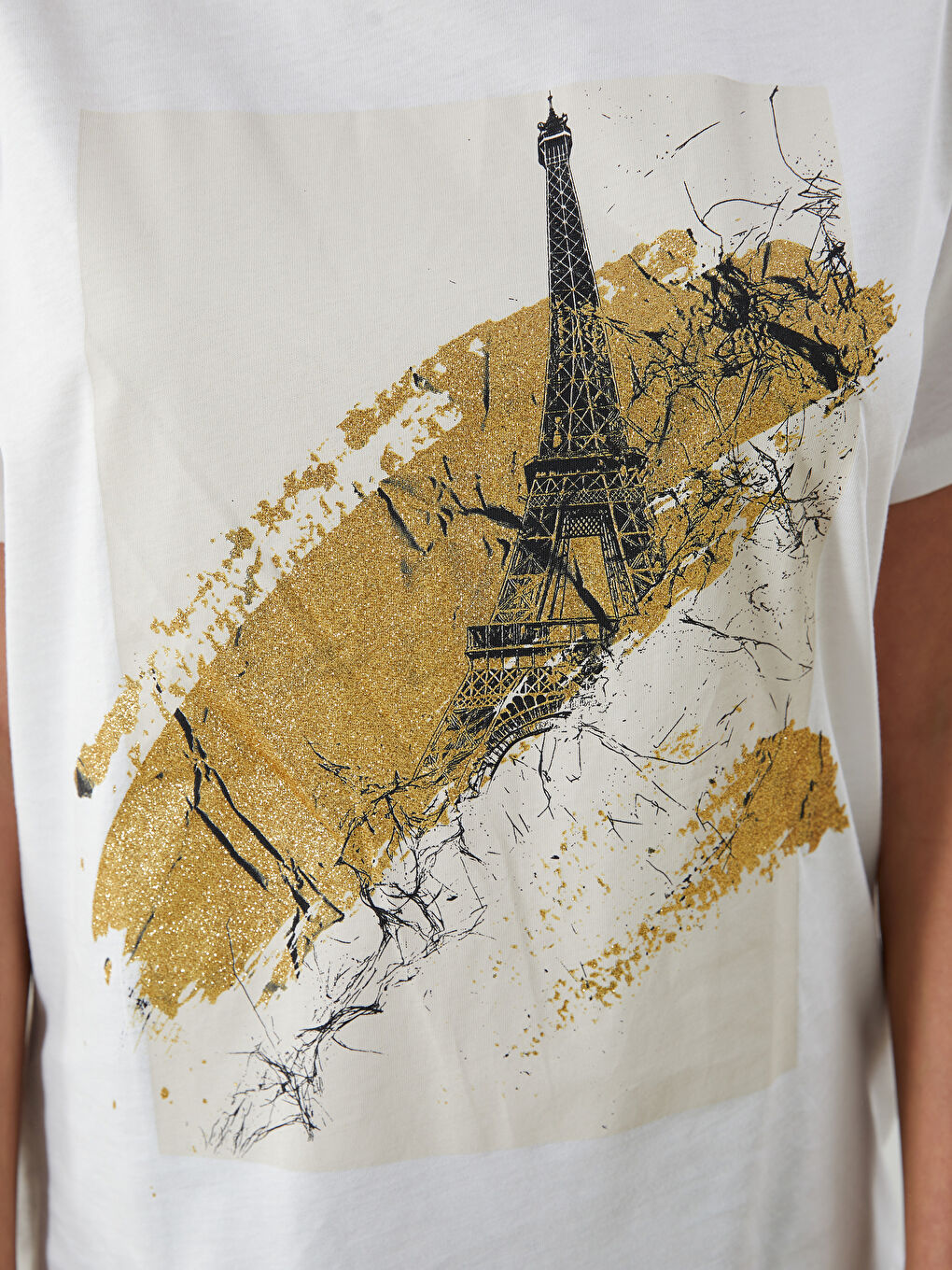 LCW Vision Crew Neck Printed Women's T-Shirt -S5QQ32Z8-R9J