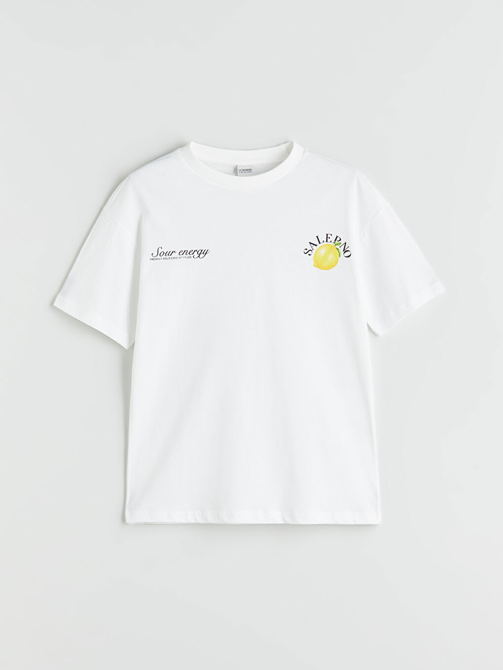 LCW Kids Crew Neck Boys' T-Shirt -S5R015Z4-R9J