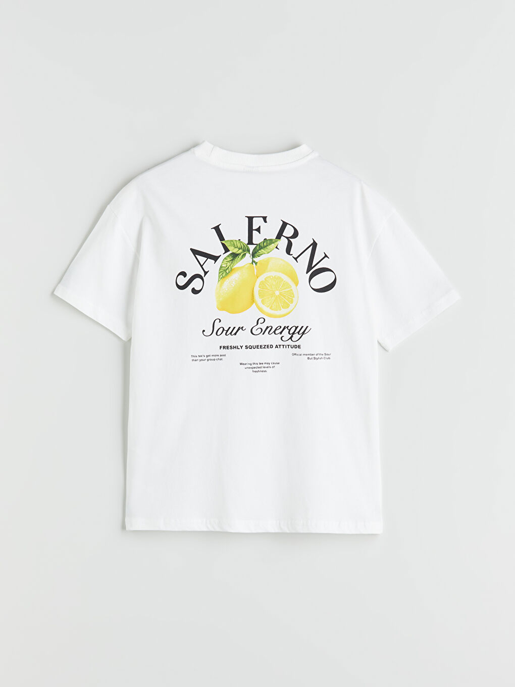 LCW Kids Crew Neck Boys' T-Shirt -S5R015Z4-R9J