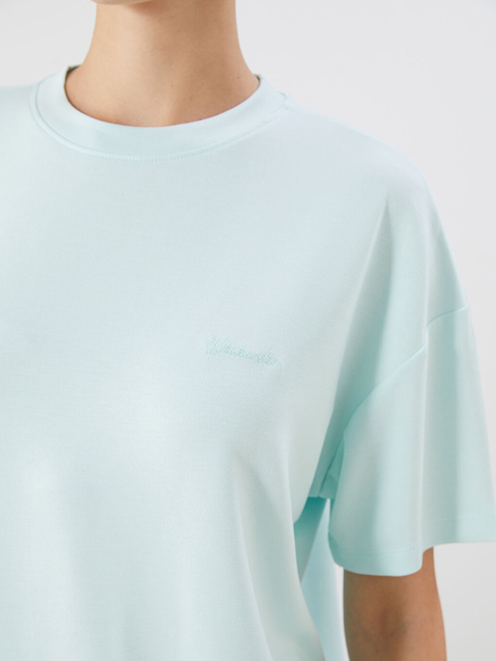 LCW Vision Crew Neck Oversize Women's T-Shirt -S5R228Z8-FQH
