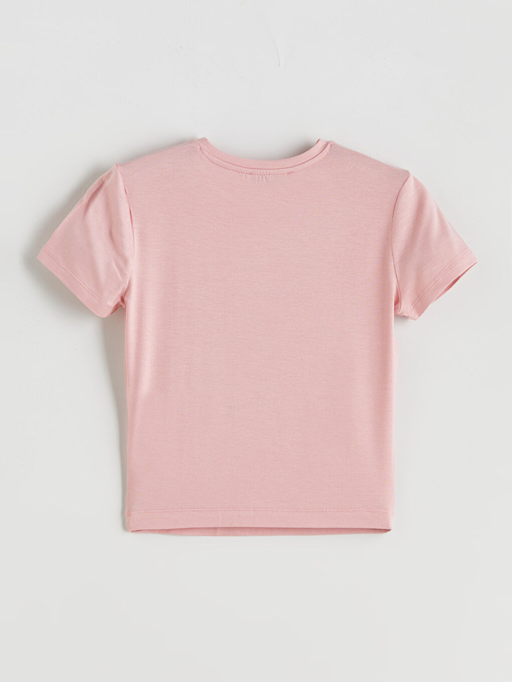 LCW Vision Crew Neck Embroidered Women's T-Shirt -S5R245Z8-FGV