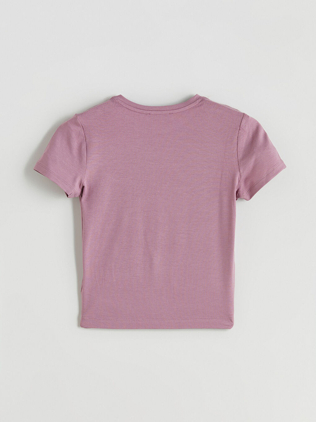 LCW Vision Crew Neck Embroidered Women's T-Shirt -S5R245Z8-GVJ