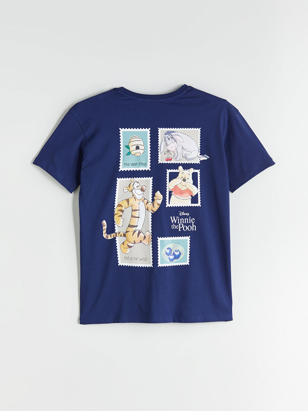 Crew Neck Winnie the Pooh Printed Women's T-Shirt -S5R518Z8-HPN