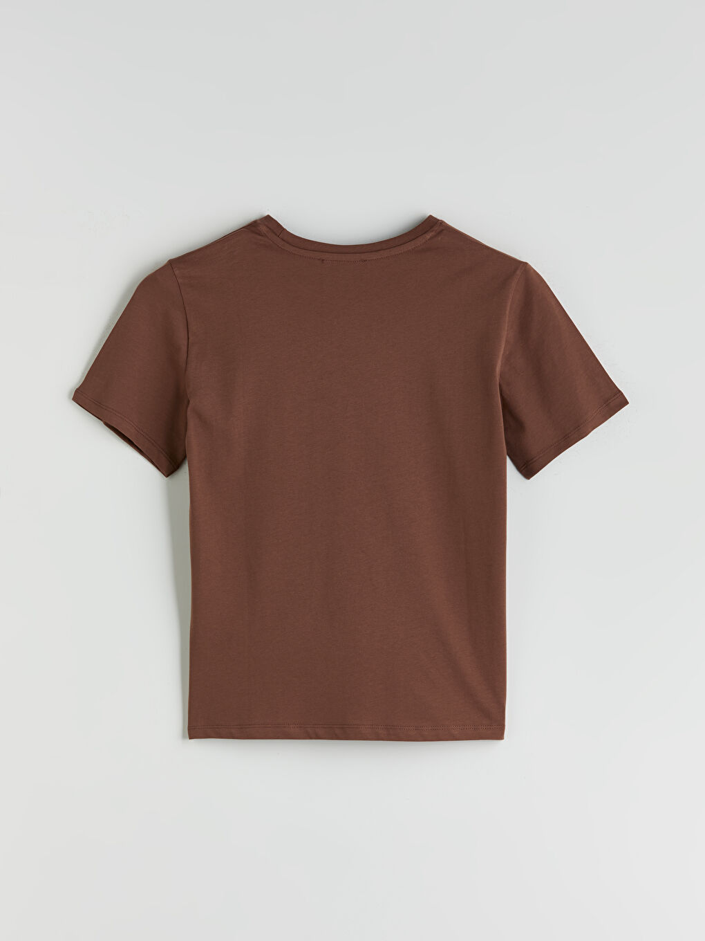 LCW Vision Woman BROWN T-Shirt -S5R548Z8-R1R