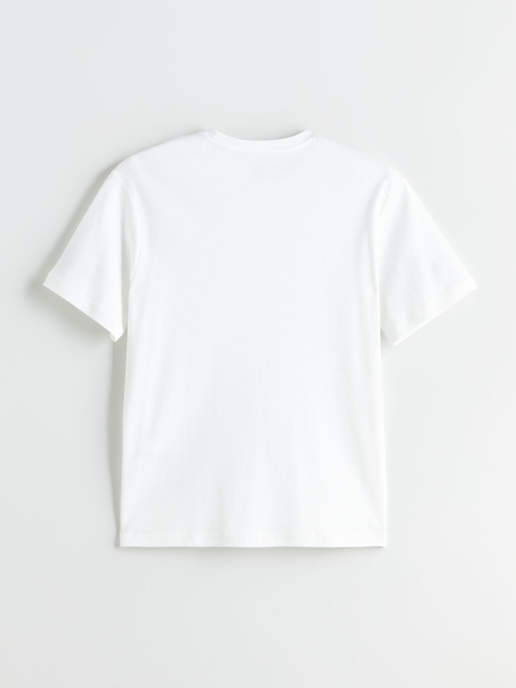 LCWAIKIKI Classic Crew Neck Printed Men's T-Shirt -S5RH29Z8-R9J