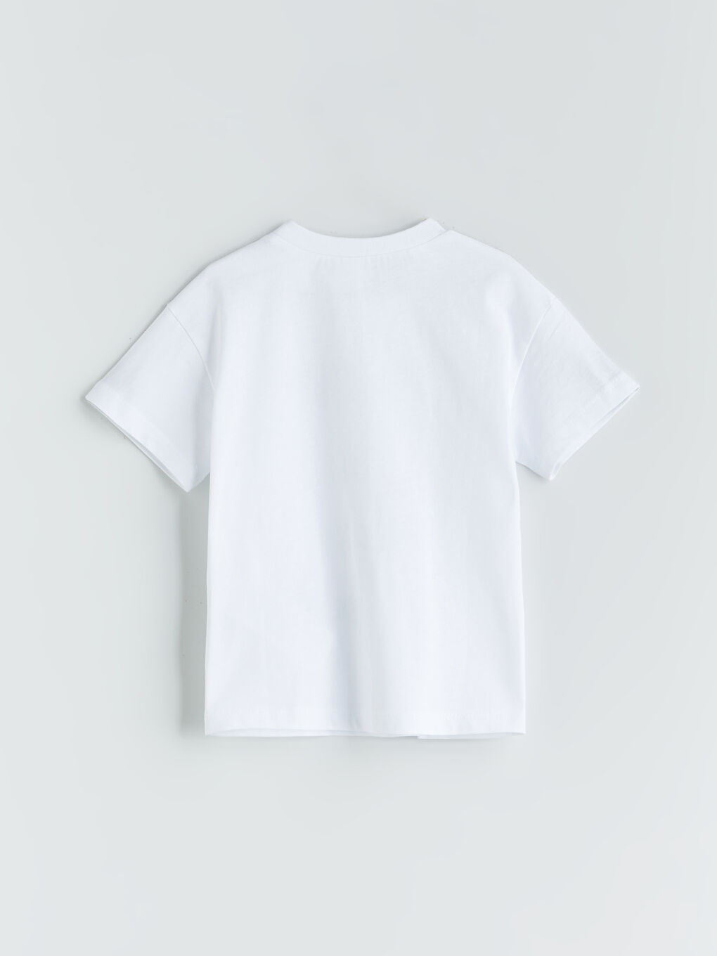 Crew Neck Printed Baby Boys' T-Shirt -S5RH40Z1-FDL