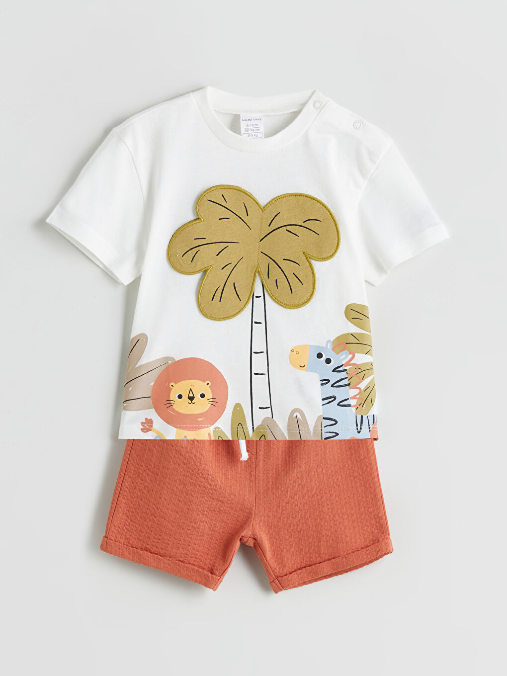 Printed Baby Boys' T-Shirt and Shorts 2 Pack -S5RI64Z1-FDU