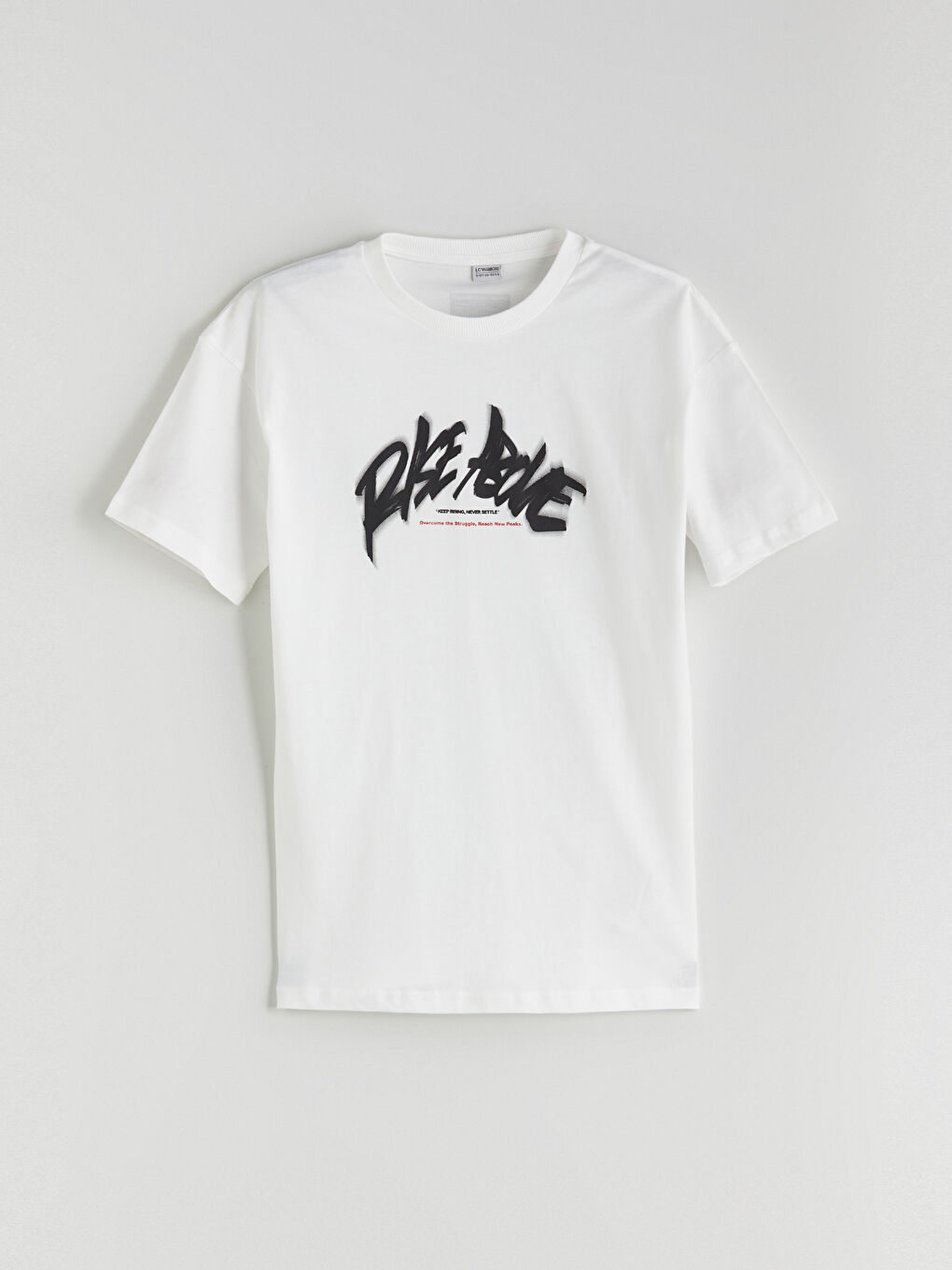 LC Waikiki Crew Neck Boys' T-Shirt -S5RI96Z4-R9J