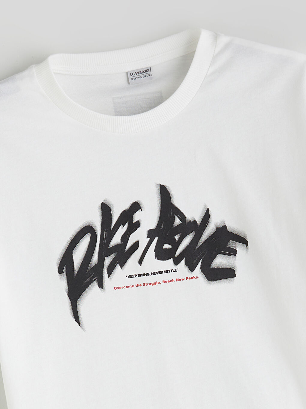 LC Waikiki Crew Neck Boys' T-Shirt -S5RI96Z4-R9J