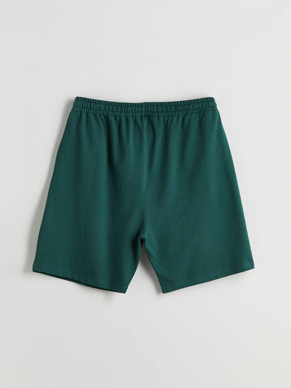 Plus Size Standard Fit Men's Shorts -S5RL28Z8-J1P