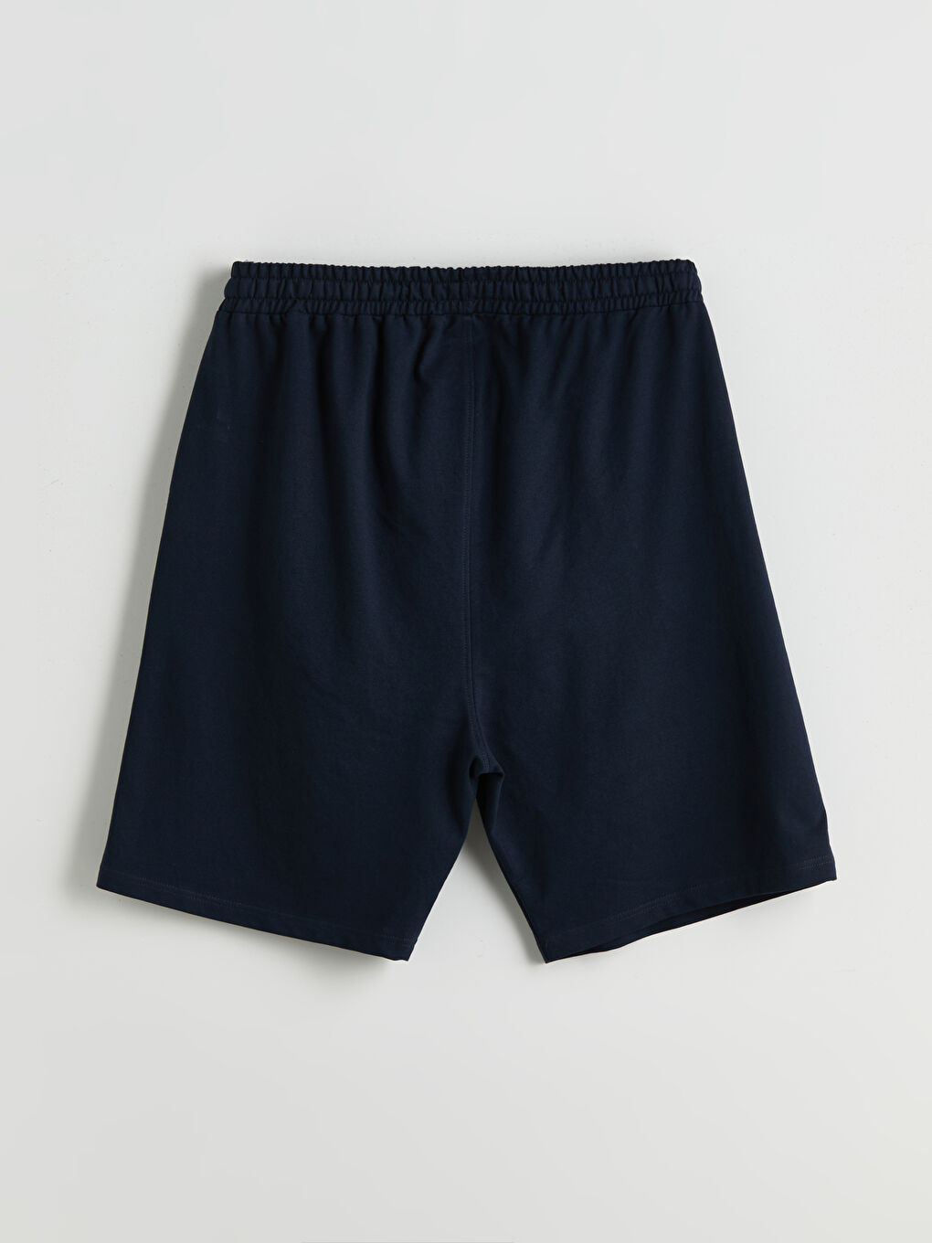 Plus Size Standard Fit Men's Shorts -S5RL28Z8-RFD