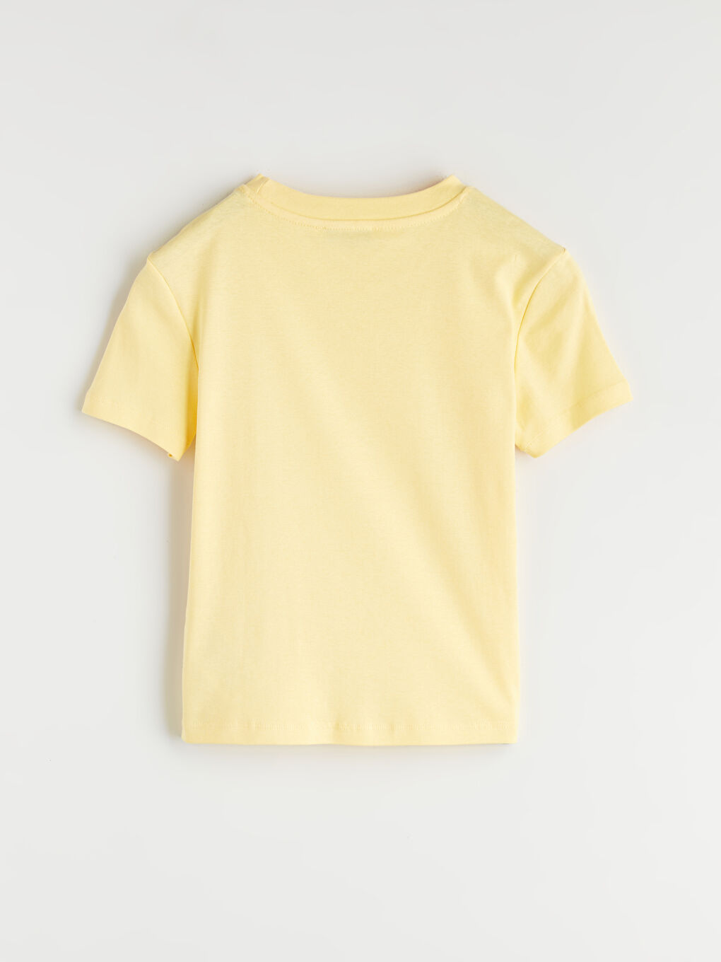 LCW Vision Crew Neck Embellished Women's T-Shirt -S5RM41Z8-FRN