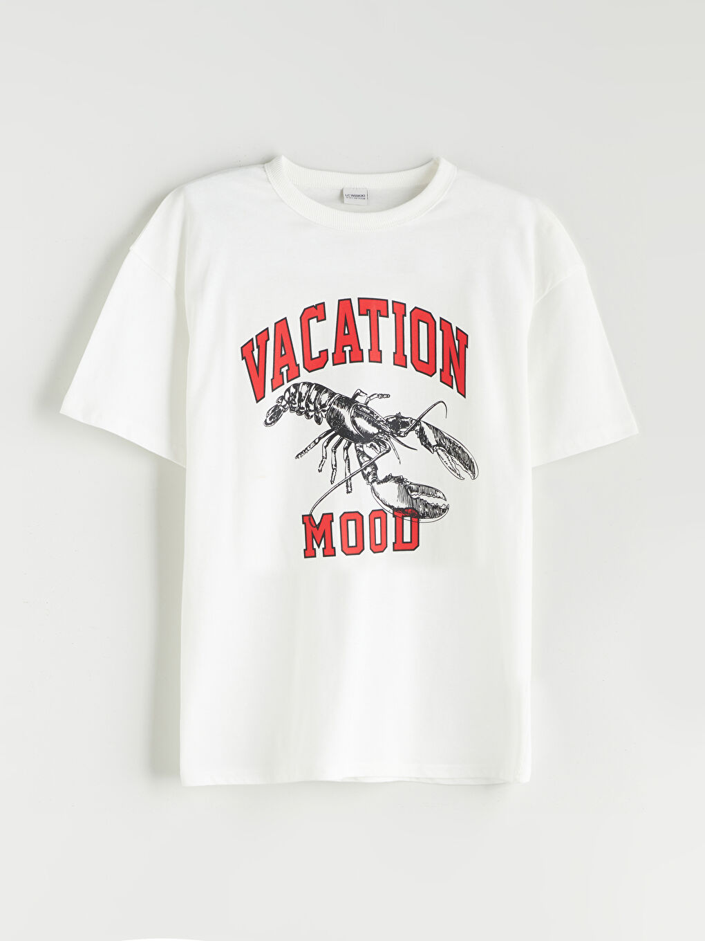 LCW Kids Crew Neck Boys' T-Shirt -S5RP41Z4-R9J
