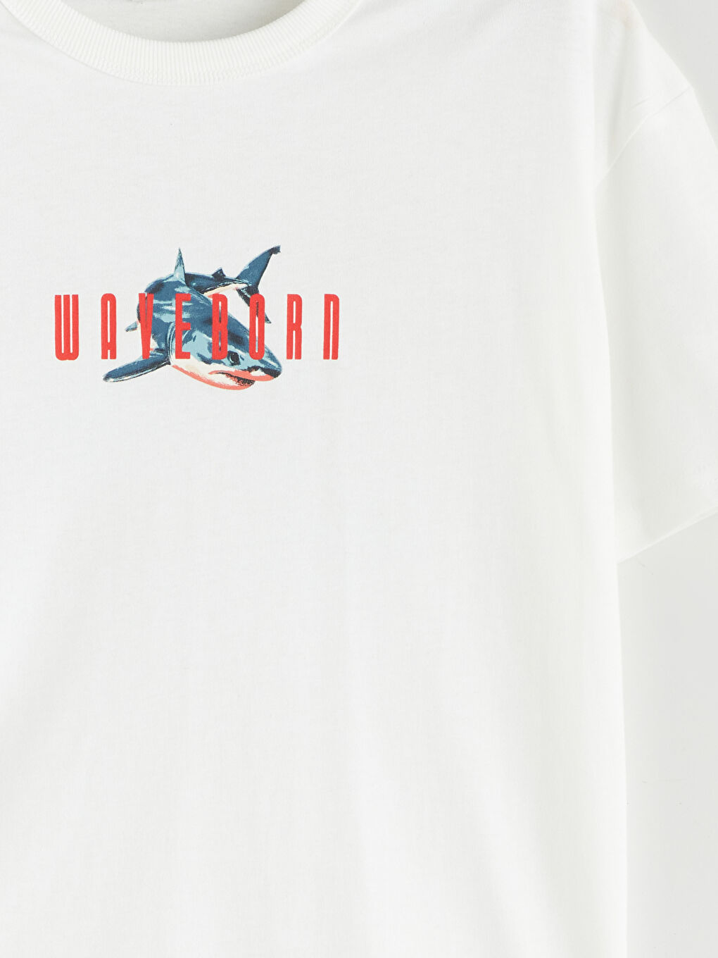 LCW Kids Crew Neck Boys' T-Shirt -S5RP47Z4-R9J
