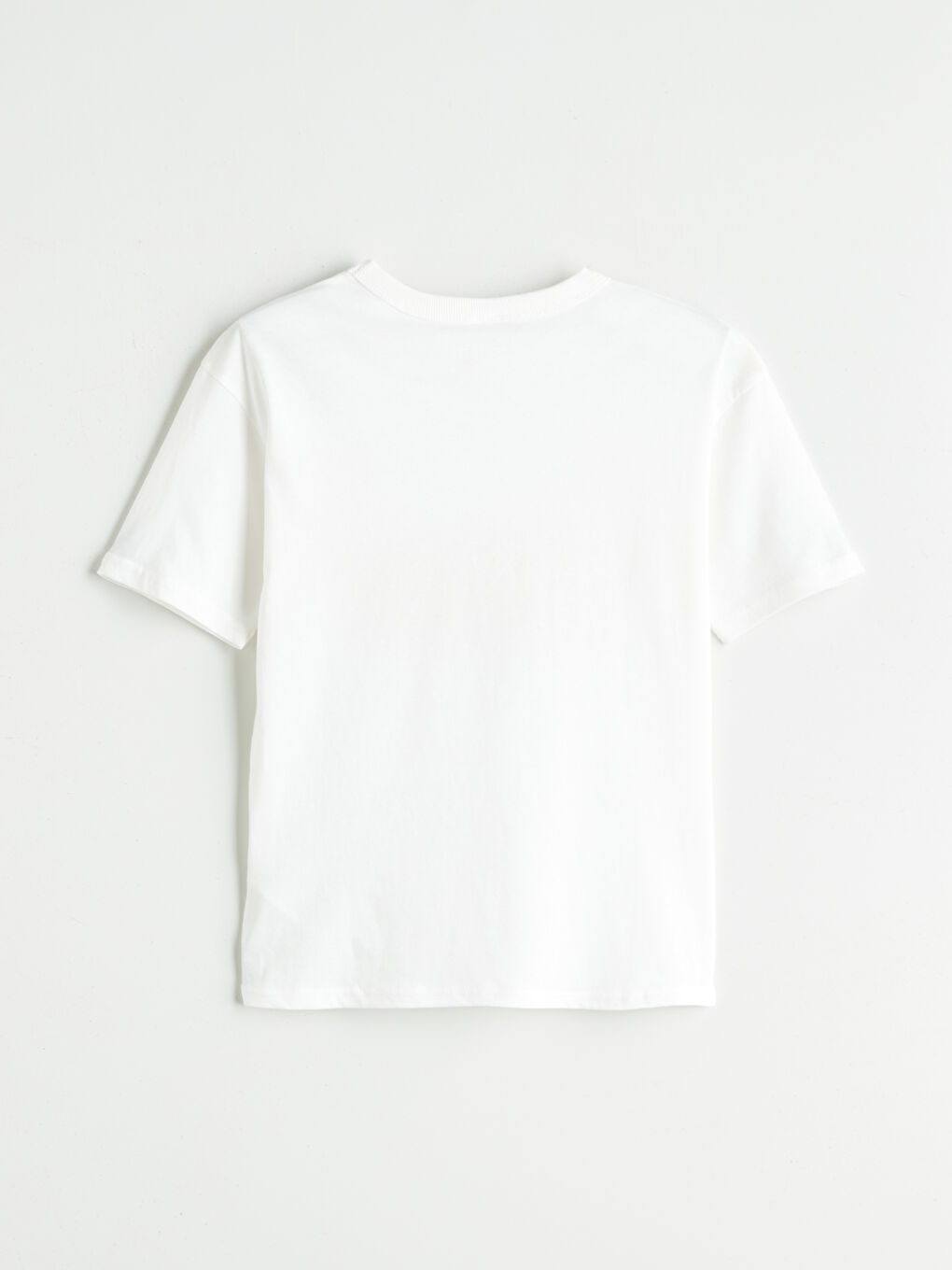 LCW Kids Crew Neck Boys' T-Shirt 2 Pack -S5RP58Z4-R9J