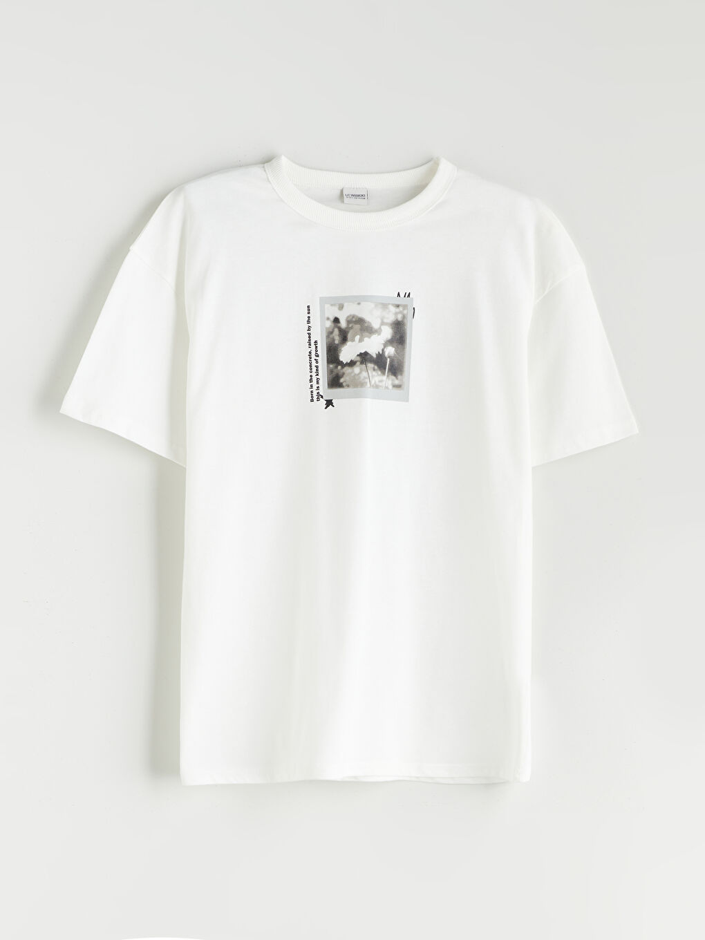 LCW Kids Crew Neck Boys' T-Shirt -S5RQ20Z4-R9J
