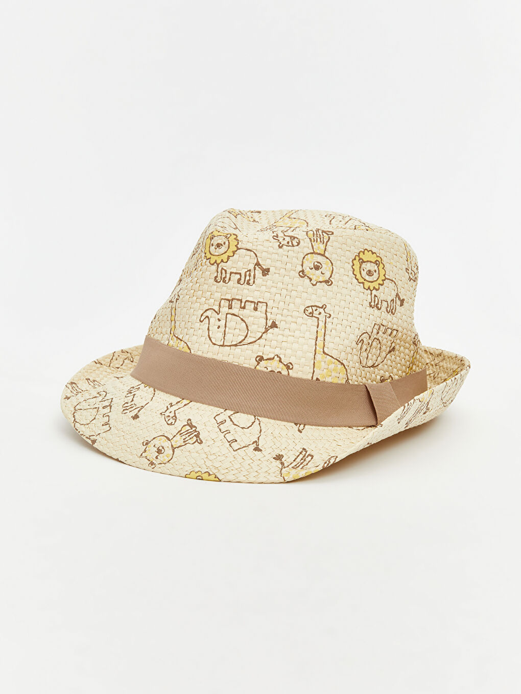 Dinosaur Printed Boys' Fedora Hat-1