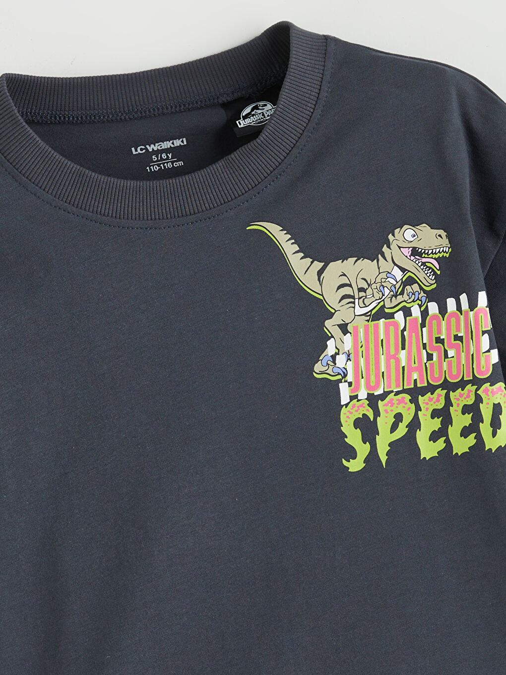 Antrasit Dinozor Baskılı Erkek Çocuk Tişört-2