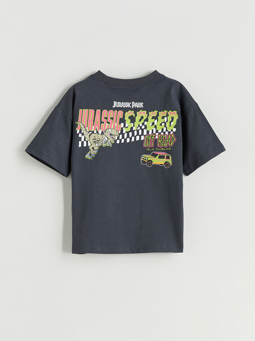 Antrasit Dinozor Baskılı Erkek Çocuk Tişört-3
