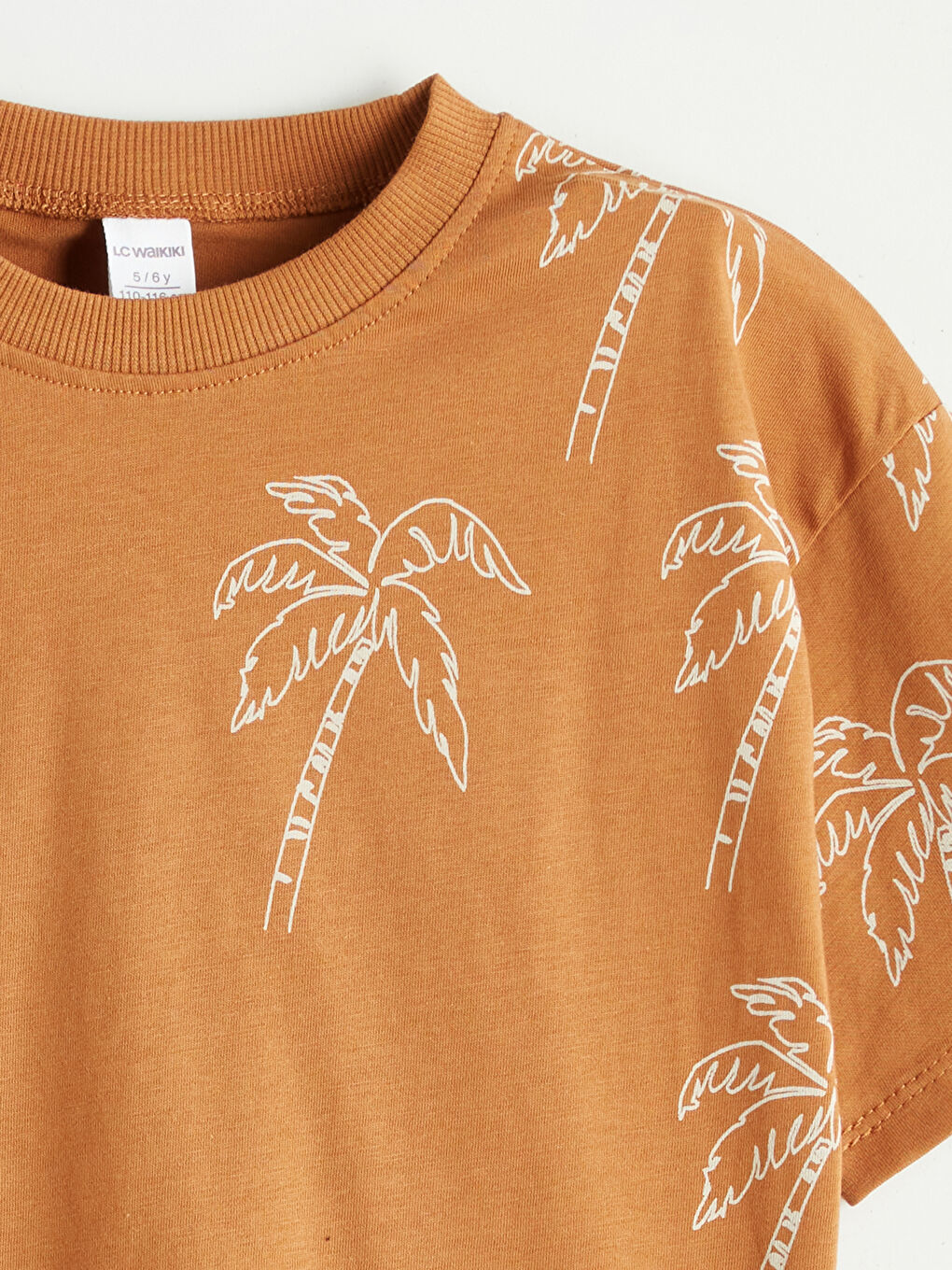 Kahverengi Baskılı Erkek Çocuk Tişört ve Şort 2'li-2