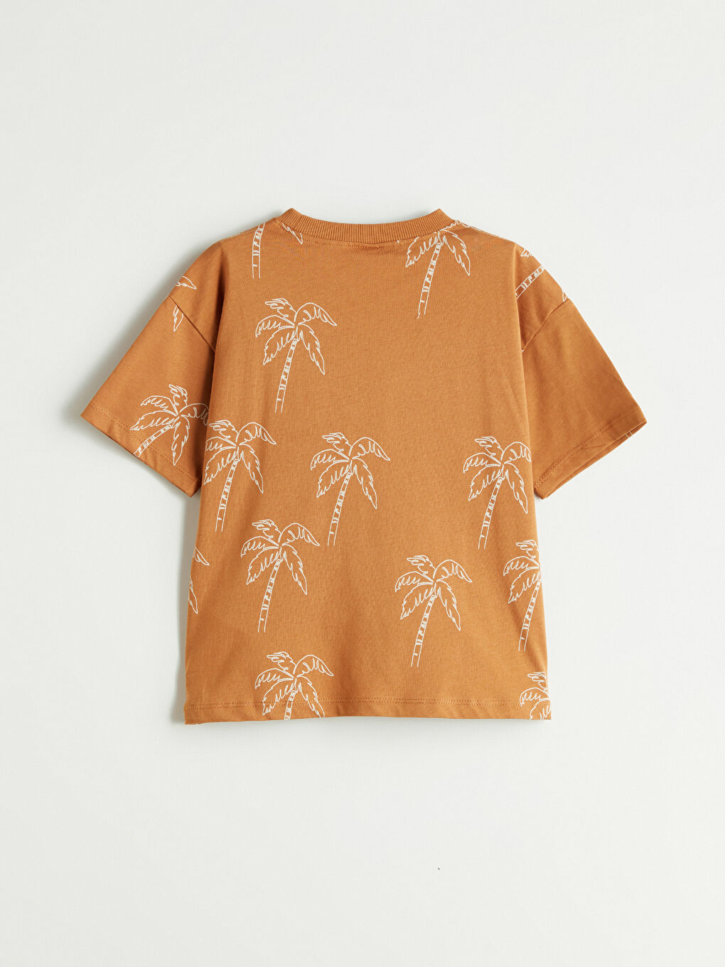 Kahverengi Baskılı Erkek Çocuk Tişört ve Şort 2'li-3