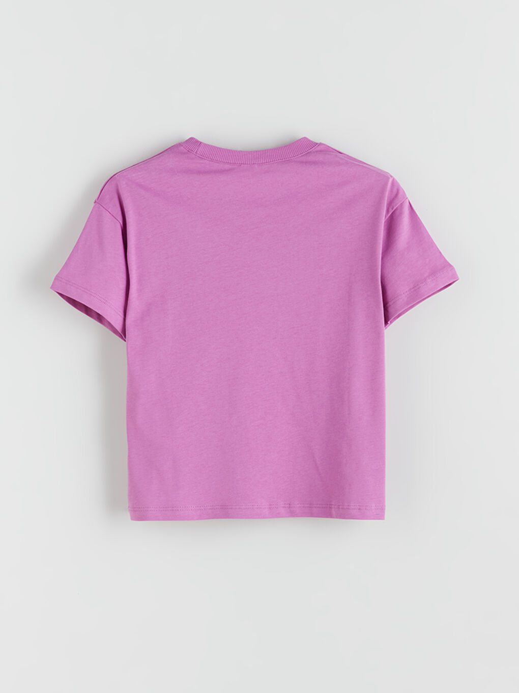 Mor Bisiklet Yaka Dinozor Baskılı Erkek Çocuk Tişörtü-4