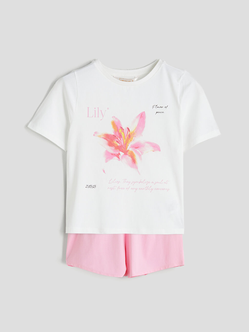 Pembe Bisiklet Yaka Baskılı Kadın Şortlu Pijama Takımı-4