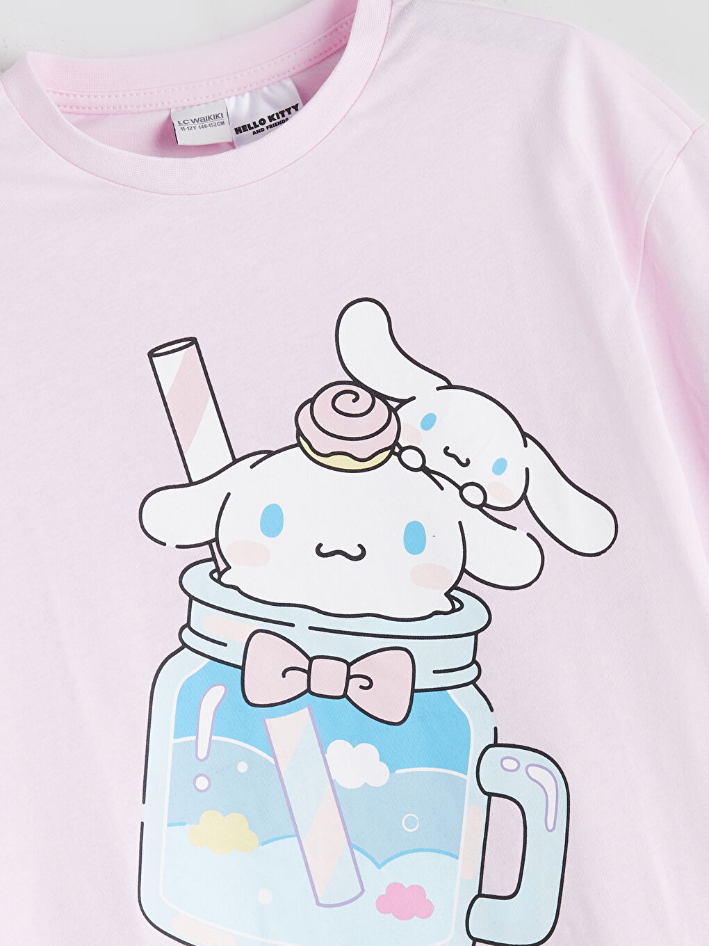 Crew Neck Cinnamoroll Printed Girls' T-Shirt-1