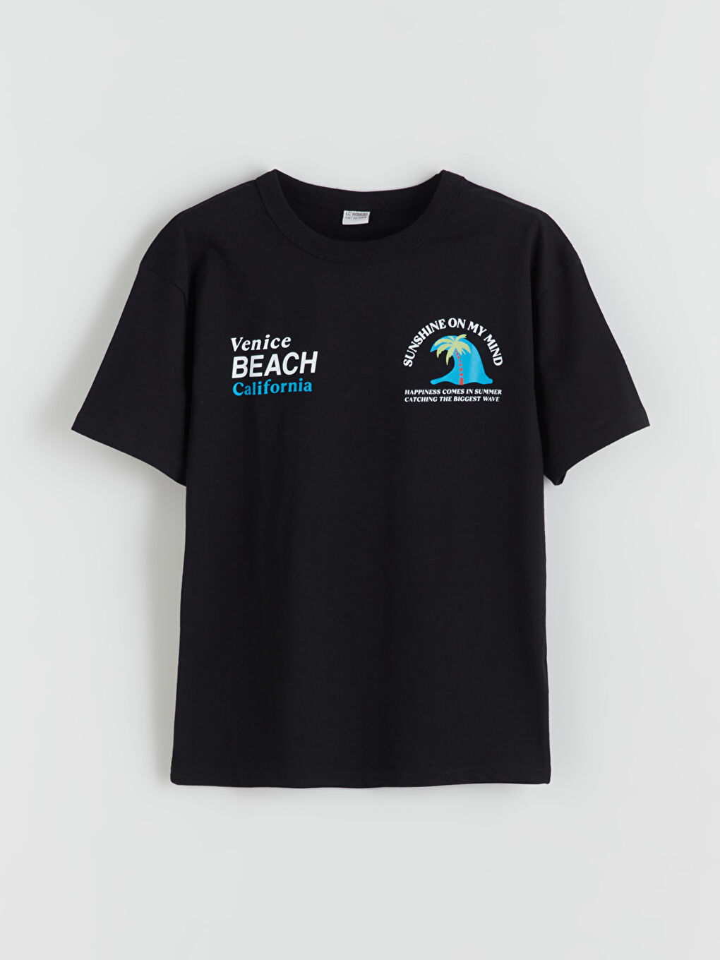 LCW Kids Crew Neck Boys' T-Shirt -S5S732Z4-CVL