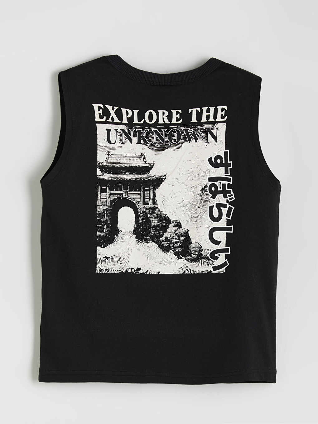 LCW Kids Crew Neck Printed Boys' Vest -S5SA88Z4-CVL