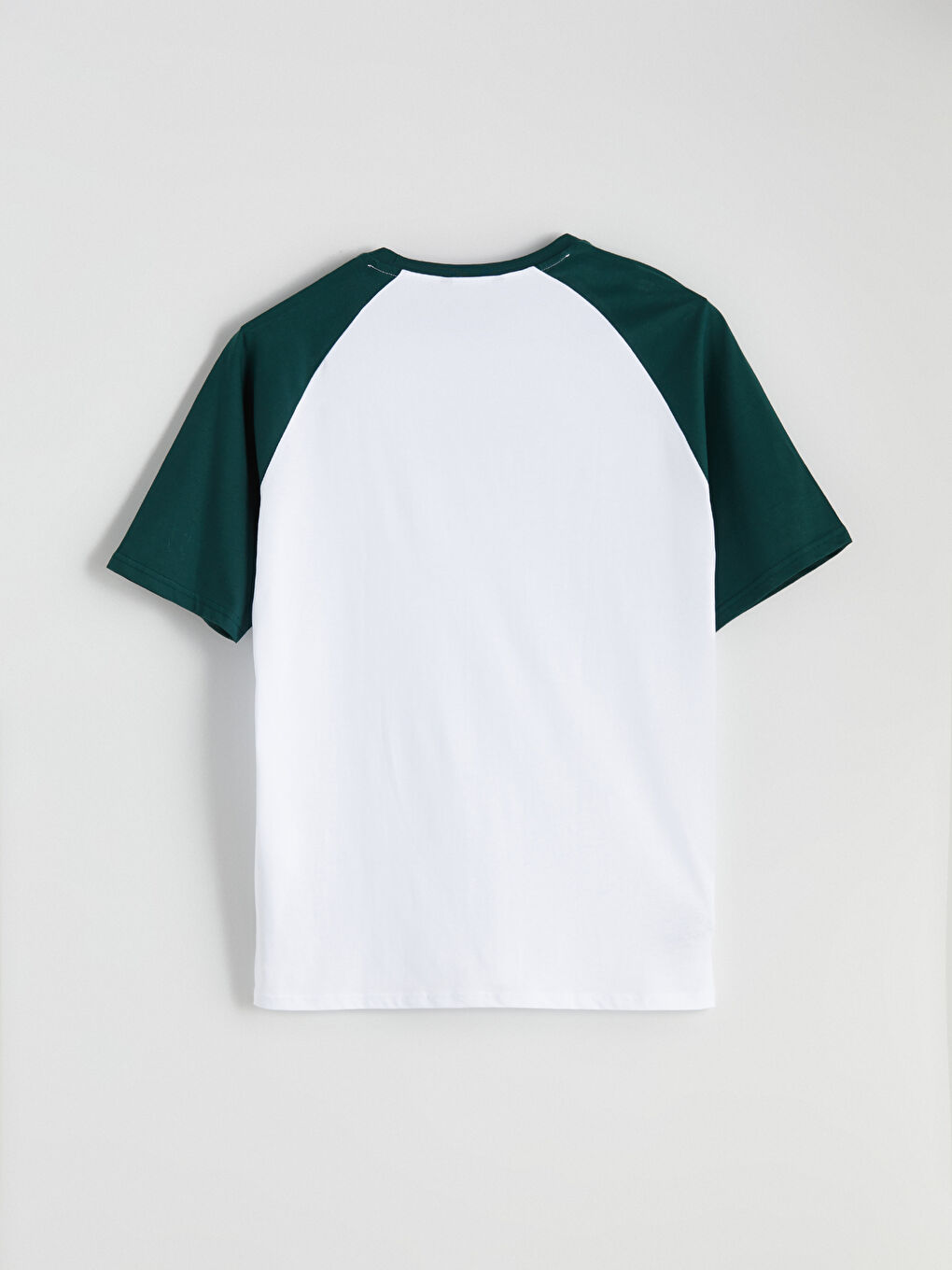 Yeşil Bisiklet Yaka Renk Bloklu Penye Erkek Tişört-5