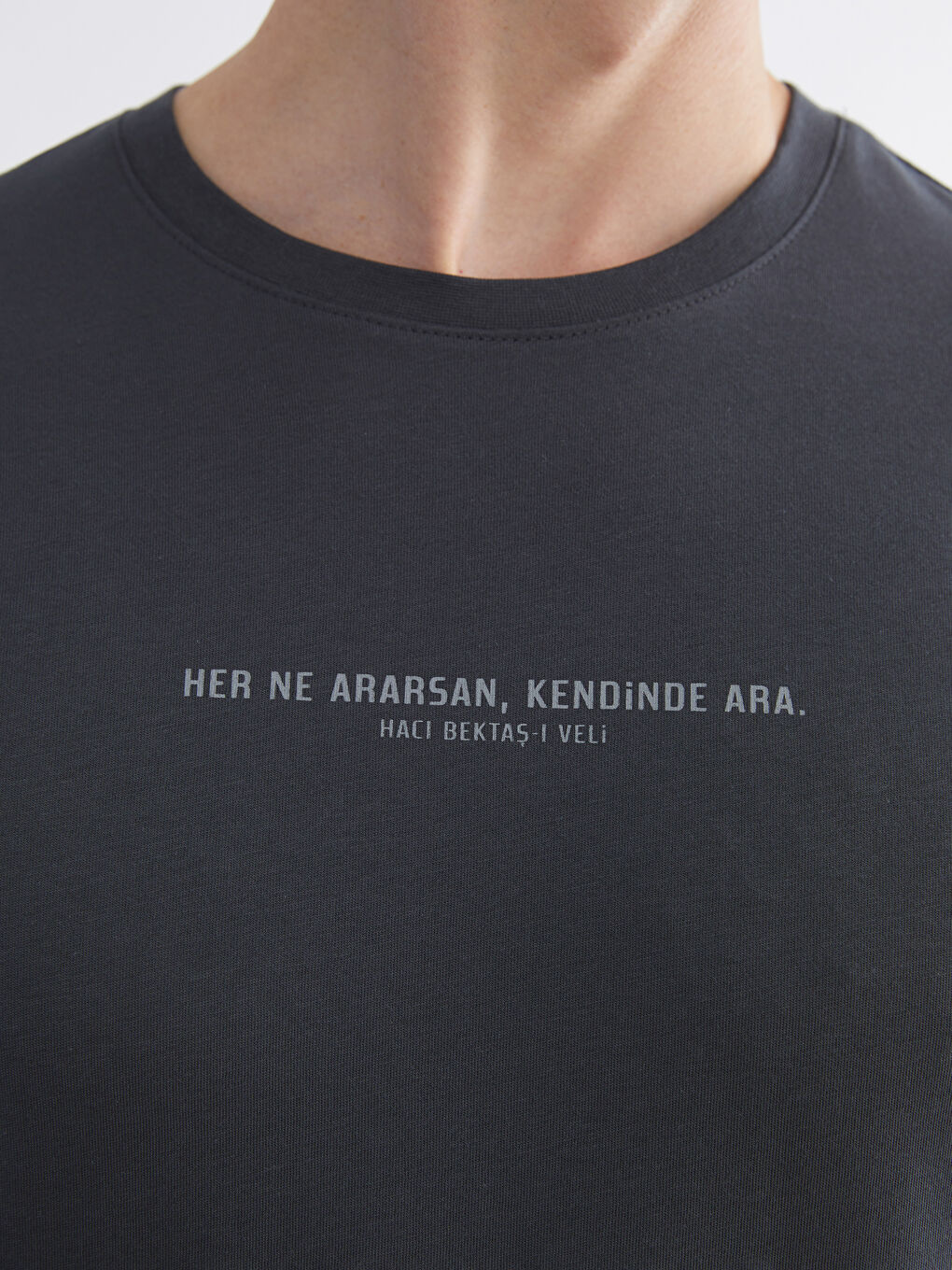 Antrasit Bisiklet Yaka Baskılı Penye Erkek Tişört-3