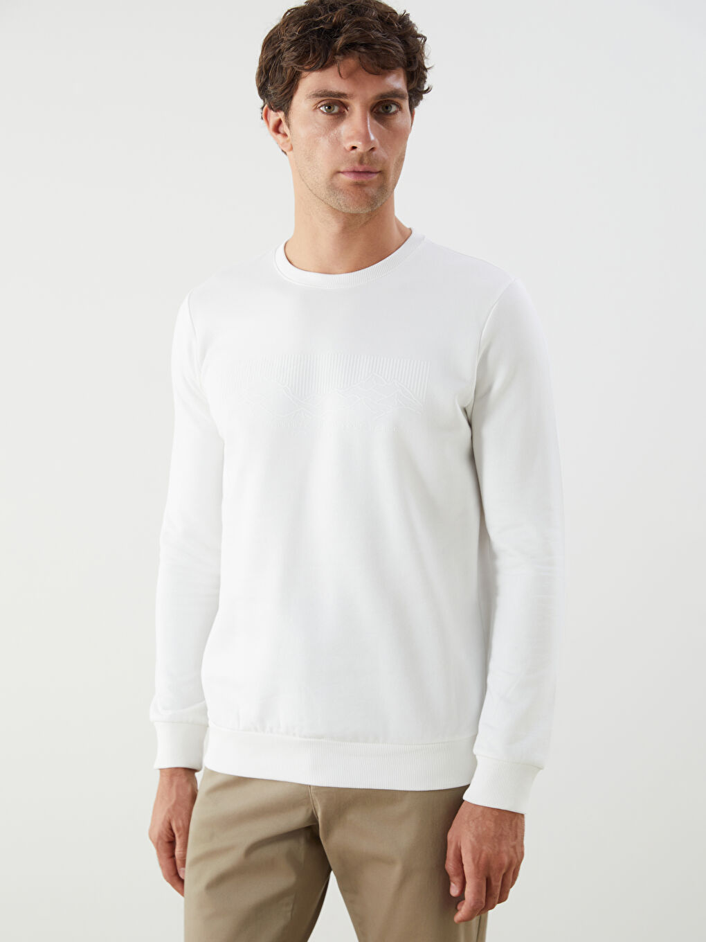 Crew Neck Printed Men's Thick Sweatshirt -W44113Z8-R9J