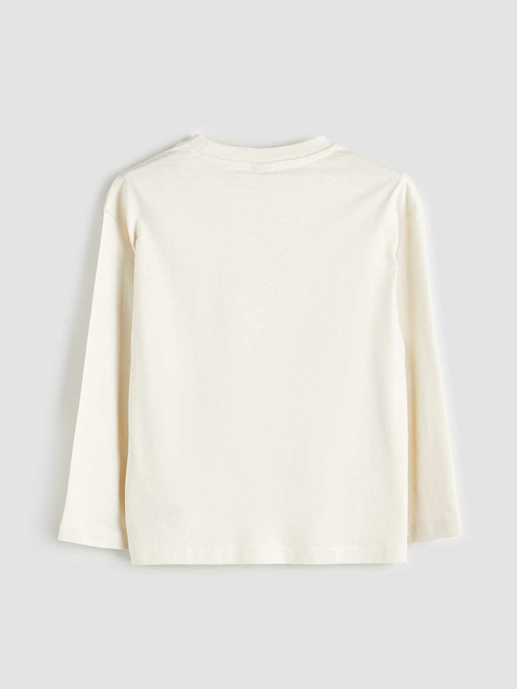 LCW Kids Crew Neck Boys' T-Shirt -W51222Z4-FRR