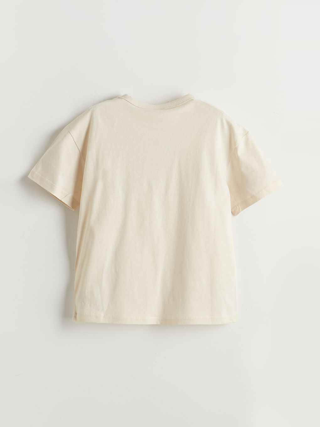 LCW Kids Crew Neck Boys' T-Shirt -W51425Z4-FRR