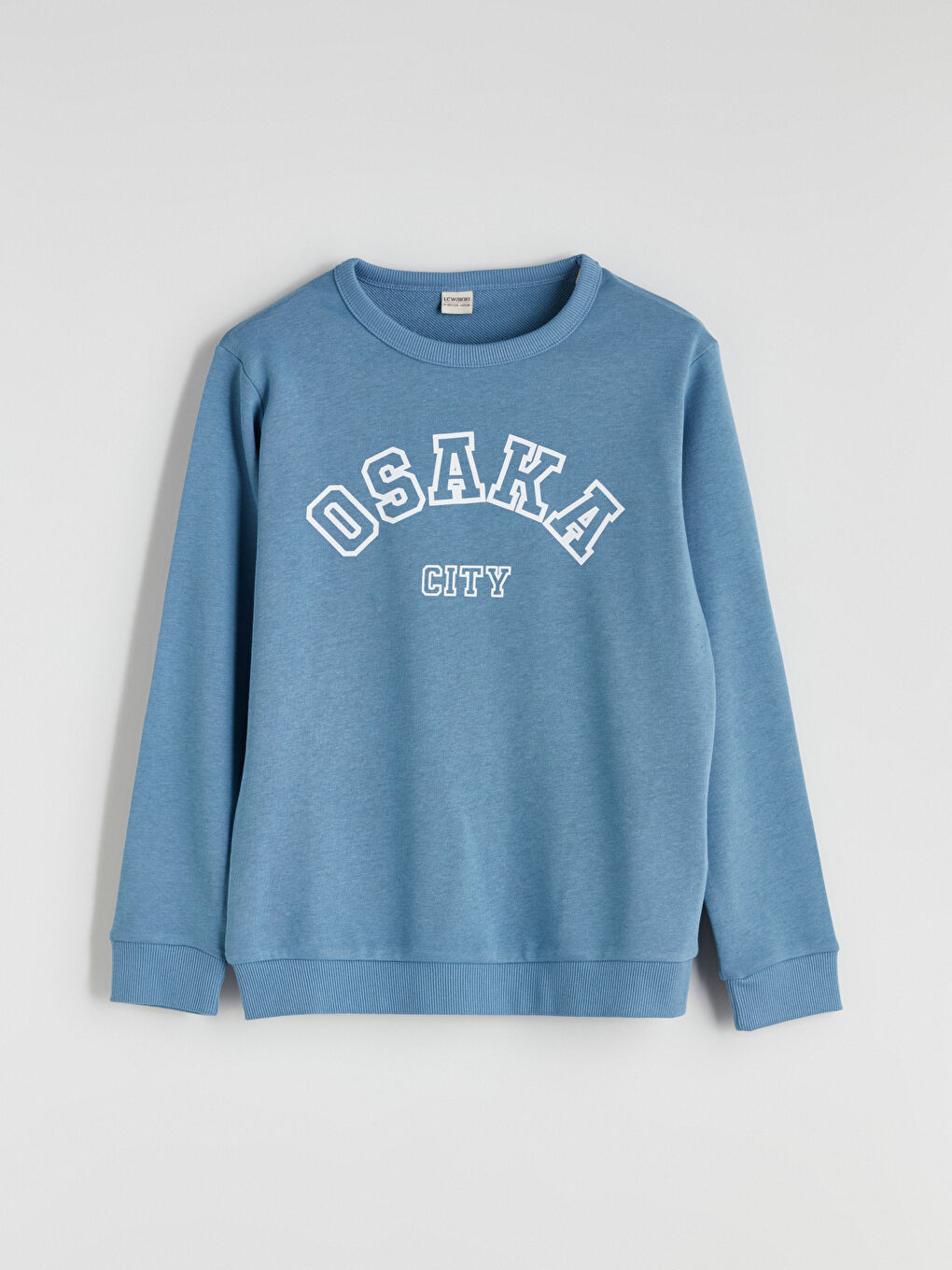 LCW Kids Crew Neck Boys' Sweatshirt -W51574Z4-HCG
