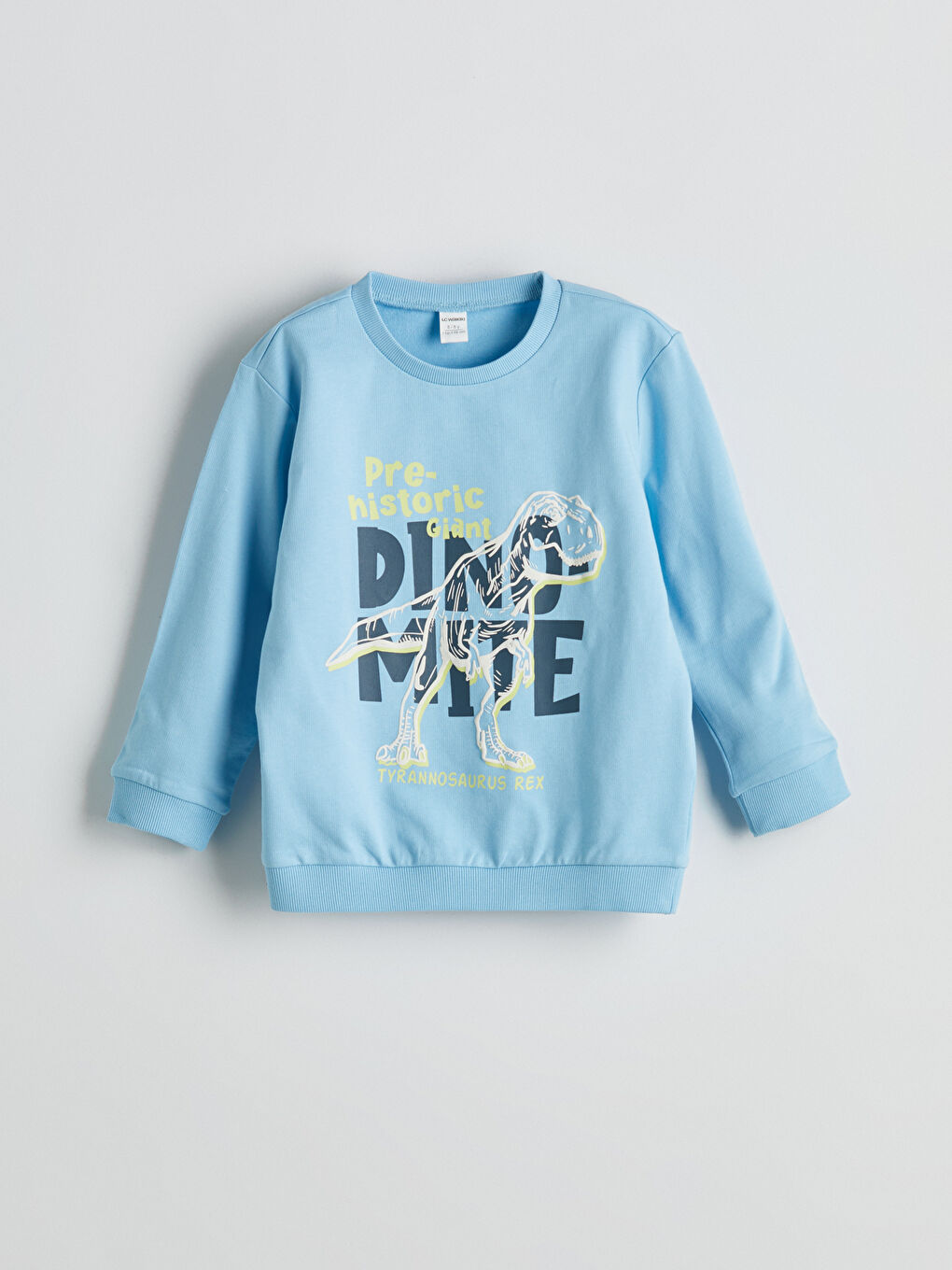 LCW Kids Komplet sa okruglim izrezom za dečake -W52165Z1-G8J