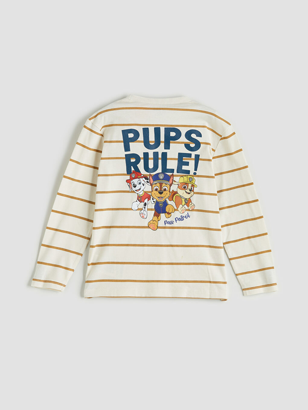 Bej Bisiklet Yaka Paw Petrol Baskılı Uzun Kollu Erkek Çocuk Tişört-1